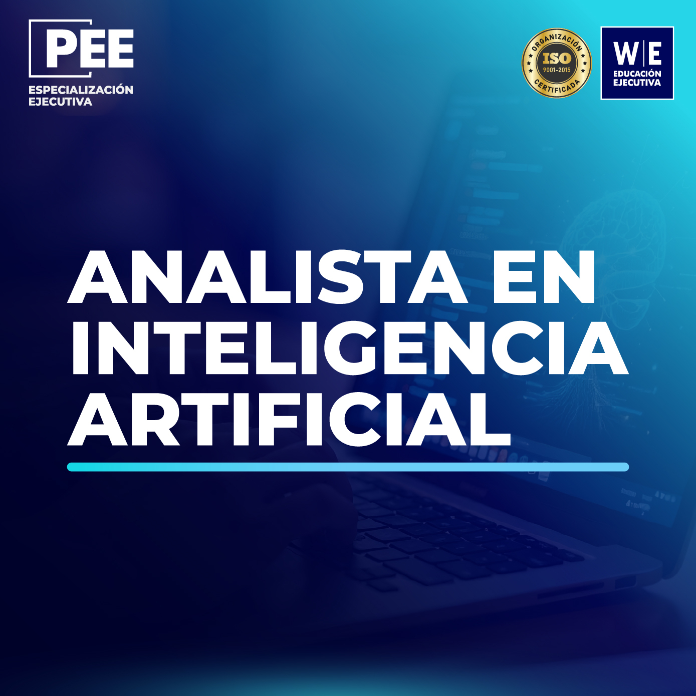 Odoo - Prueba 1 a tres columnas